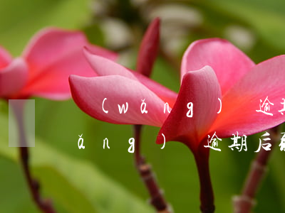 網(wǎng)貸逾期解除合同分期(網(wǎng)貸逾期后取消分期合法嗎)