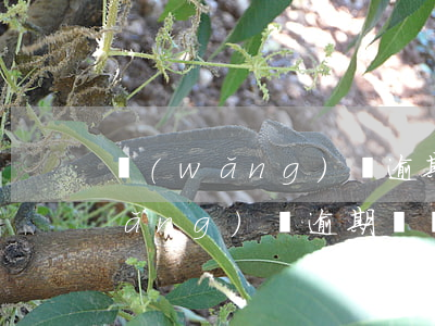 網(wǎng)貸逾期記錄影響大嗎(網(wǎng)貸逾期記錄會(huì)上征信嗎)