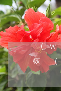 網(wǎng)貸逾期記錄消除要多久才能恢復(fù)信用-網(wǎng)貸逾期記錄消除要多久才能恢復(fù)信用記錄