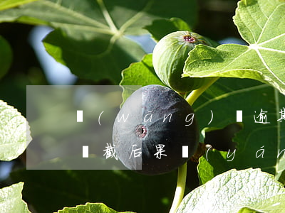 網(wǎng)貸逾期設(shè)置騷擾攔截后果嚴(yán)重嗎-網(wǎng)貸逾期設(shè)置騷擾攔截后果嚴(yán)重嗎怎么辦