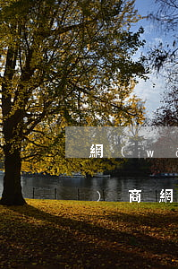 網(wǎng)貸逾期訴前民事協(xié)商(網(wǎng)貸逾期起訴立案標(biāo)準(zhǔn)還款后還是繼續(xù)起訴嗎)