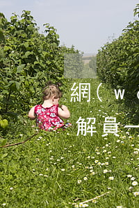 網(wǎng)貸逾期訴前調(diào)解員一直催著還款-網(wǎng)貸逾期訴前調(diào)解員一直催著還款怎么辦