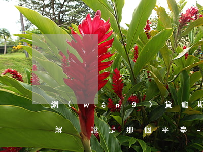 網(wǎng)貸逾期訴前調(diào)解沒說是那個平臺-網(wǎng)貸逾期訴前調(diào)解沒說是那個平臺怎么辦