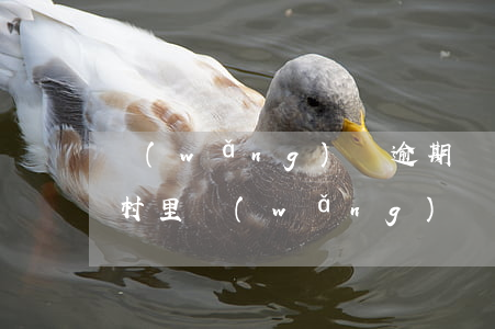 網(wǎng)貸逾期訴訟函發(fā)到村里(網(wǎng)貸逾期會給村委打電話么)