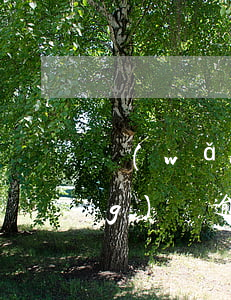 網(wǎng)貸逾期訴訟流程（網(wǎng)貸逾期小額訴訟程序）