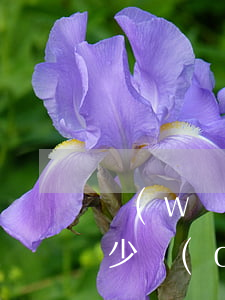 網(wǎng)貸逾期訴訟費(fèi)多少錢(qián)(網(wǎng)貸的逾期費(fèi)用多少算合法)
