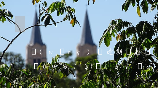 網(wǎng)貸逾期訴訟費(fèi)收費(fèi)標(biāo)準(zhǔn)（網(wǎng)貸逾期被起訴要交哪些費(fèi)用）
