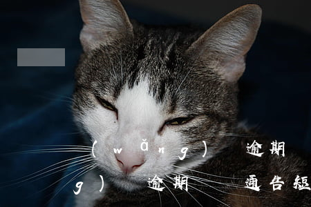 網(wǎng)貸逾期訴訟通告(網(wǎng)貸逾期訴訟通告 短信)