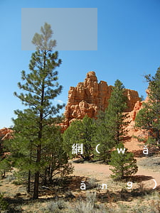 網(wǎng)貸逾期詐騙有些什么(網(wǎng)貸逾期是否構成金融詐騙)