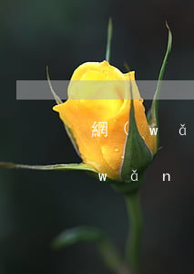 網(wǎng)貸逾期該不該和家人說(網(wǎng)貸逾期了打電話給家里人犯法嗎)