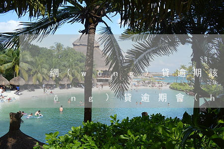 網(wǎng)貸逾期該做什么工作(網(wǎng)貸逾期會(huì)聯(lián)系工作單位嗎)