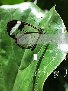 網(wǎng)貸逾期該告訴家人嗎(網(wǎng)貸逾期給家里人打電話是不是違法)