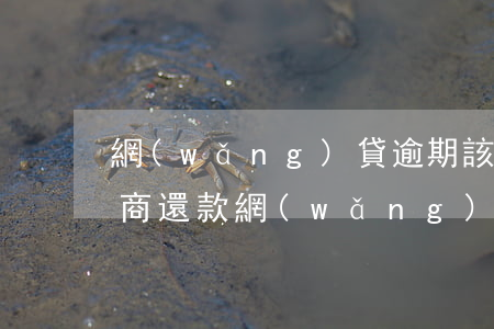 網(wǎng)貸逾期該怎么協(xié)商還款(網(wǎng)貸逾期協(xié)商還本金注意)