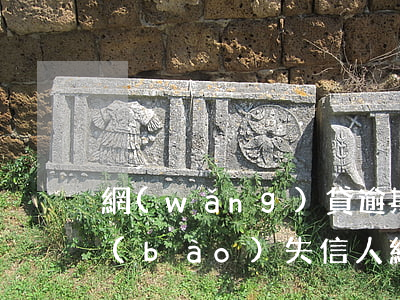 網(wǎng)貸逾期說(shuō)上報(bào)失信人(網(wǎng)貸逾期會(huì)成為失信人嗎)