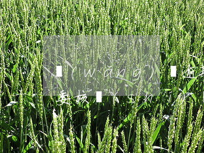 網(wǎng)貸逾期說(shuō)去村委核實(shí)(網(wǎng)貸逾期說(shuō)要到村委會(huì)核實(shí))