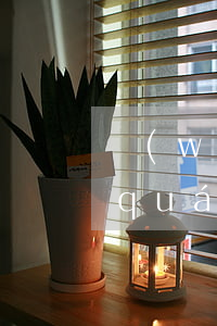 網(wǎng)貸逾期說(shuō)權(quán)力機(jī)關(guān)立案(網(wǎng)貸逾期是什么案件)