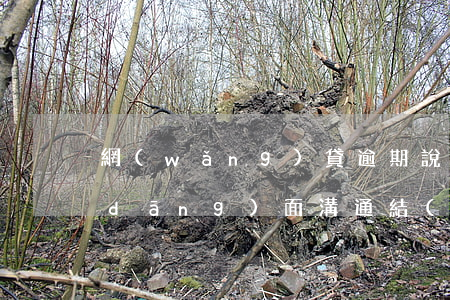 網(wǎng)貸逾期說(shuō)當(dāng)面溝通結(jié)清(網(wǎng)貸逾期交流)
