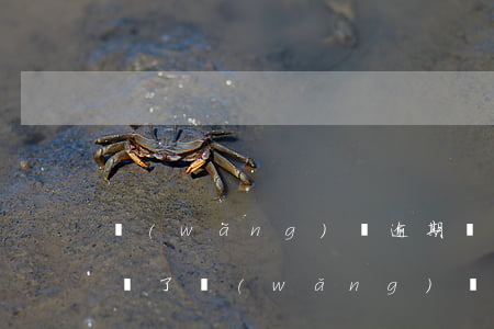 網(wǎng)貸逾期說(shuō)被起訴了(網(wǎng)貸逾期說(shuō)被起訴了怎么辦)