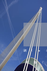 網(wǎng)貸逾期說(shuō)要停用醫(yī)保(網(wǎng)貸逾期影響社保嗎)