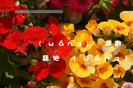 網(wǎng)貸逾期說(shuō)要去戶籍地(網(wǎng)貸逾期真的會(huì)去戶籍地要錢嗎)