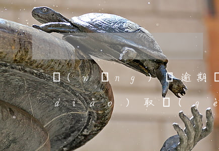 網(wǎng)貸逾期說(shuō)調(diào)取個(gè)人檔案(網(wǎng)貸逾期說(shuō)是綜合辦的調(diào)檔案)