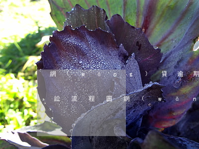 網(wǎng)貸逾期說(shuō)走訴訟流程圖(網(wǎng)貸逾期提起訴訟了怎么辦)