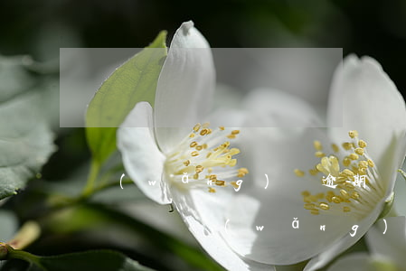 網(wǎng)貸逾期說你網(wǎng)貸詐騙(網(wǎng)貸逾期是否構(gòu)成金融詐騙)