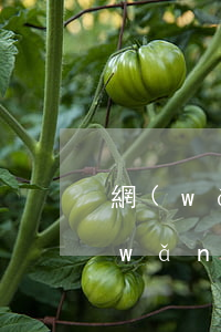 網(wǎng)貸逾期說到戶籍地取證(網(wǎng)貸逾期下發(fā)材料到戶籍地)