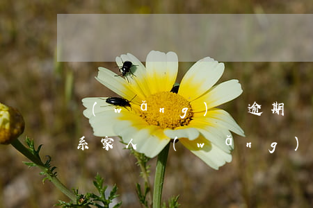 網(wǎng)貸逾期說完聯(lián)系家人(網(wǎng)貸逾期平臺給親友打電話)