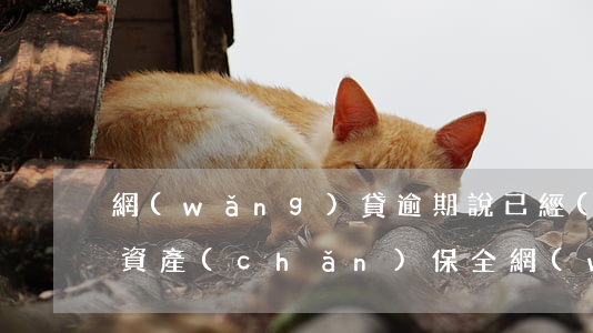 網(wǎng)貸逾期說已經(jīng)資產(chǎn)保全(網(wǎng)貸資產(chǎn)保全是什么意思)