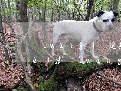 網(wǎng)貸逾期說必須一次結(jié)清(網(wǎng)貸逾期記錄多久清一次)