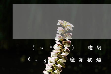 網(wǎng)貸逾期說我被起訴了 網(wǎng)貸逾期被起訴了是真的嗎