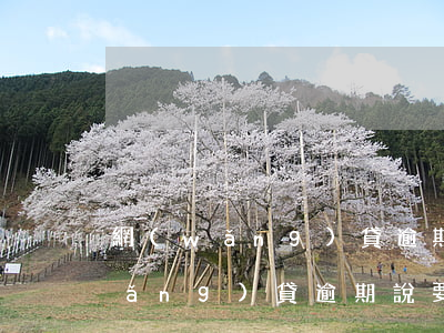 網(wǎng)貸逾期說戶籍所在地(網(wǎng)貸逾期說要上報(bào)戶籍地)