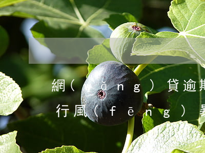 網(wǎng)貸逾期說搜索執(zhí)行風(fēng)暴(網(wǎng)貸逾期多久被執(zhí)行失信人)