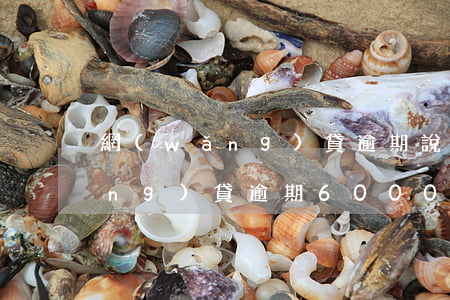 網(wǎng)貸逾期說是詐騙罪（網(wǎng)貸逾期6000被起訴詐騙罪）