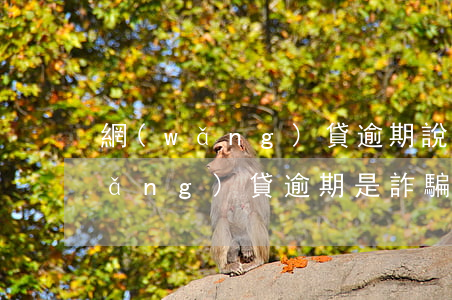 網(wǎng)貸逾期說是金融詐騙(網(wǎng)貸逾期是詐騙嗎)