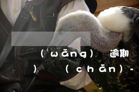 網(wǎng)貸逾期說法院凍結(jié)財產(chǎn)-網(wǎng)貸逾期說法院凍結(jié)財產(chǎn)