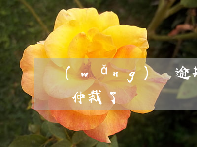網(wǎng)貸逾期說被網(wǎng)絡仲裁了