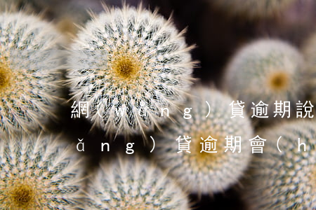 網(wǎng)貸逾期說要上門拜訪(網(wǎng)貸逾期會(huì)找上門嗎)