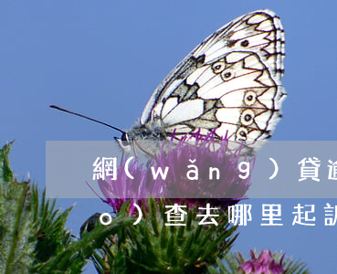 網(wǎng)貸逾期說要上門調(diào)查去哪里起訴-網(wǎng)貸逾期說上門調(diào)查是真的嗎