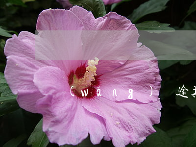 網(wǎng)貸逾期說要上門追繳
