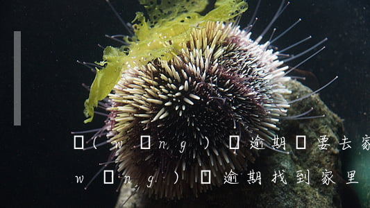 網(wǎng)貸逾期說要去家里走訪(網(wǎng)貸逾期找到家里)