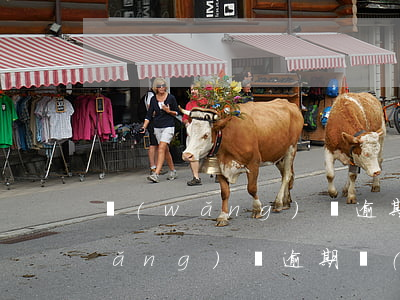 網(wǎng)貸逾期說要找居委會(網(wǎng)貸逾期聯(lián)系社區(qū))
