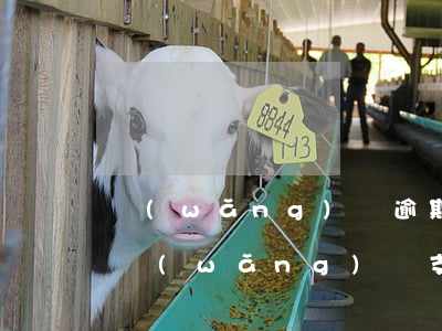 網(wǎng)貸逾期說要申請支付令(收到網(wǎng)貸支付令)