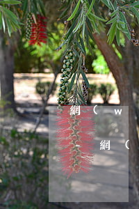 網(wǎng)貸逾期說走訪戶籍是真的嗎-網(wǎng)貸逾期說要去戶籍地調(diào)查