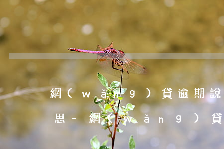 網(wǎng)貸逾期說進一步催收什么意思-網(wǎng)貸逾期催收說要核實信息