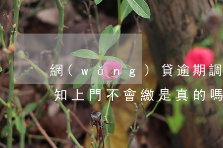 網(wǎng)貸逾期調(diào)查通知上門不會繳是真的嗎-網(wǎng)貸逾期說上門調(diào)查是真的嗎