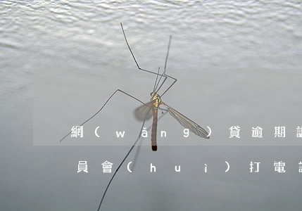 網(wǎng)貸逾期調(diào)解委員會(huì)打電話要接嗎-網(wǎng)貸逾期調(diào)解委員會(huì)打電話要接嗎是真的嗎