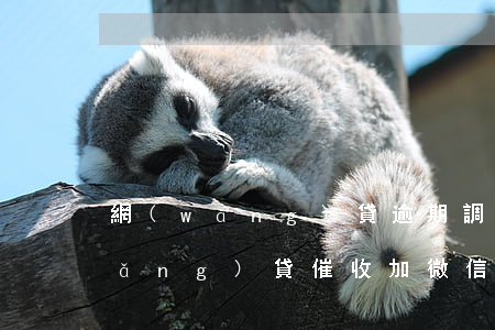 網(wǎng)貸逾期調解員加微信(網(wǎng)貸催收加微信要不要加)