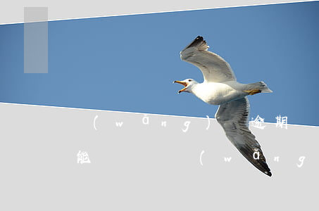 網(wǎng)貸逾期請(qǐng)律師能勝訴嗎(網(wǎng)貸逾期律師函來(lái)了后果嚴(yán)重嗎)